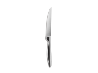 BOJ Steakmes glad Satin 22cm| Professioneel Steakmes Horeca Comas
