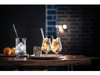 Hurricaneglas 0,53LTR Bar Special nr300 Schott Zwiesel