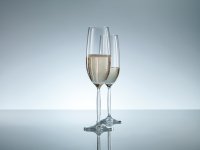 Champagneglas met MP 0,21L Banquet nr7 Schott Zwiesel