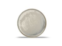 Plat bord 22,5cm green Usko