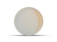 Plat bord 28,5cm lavender Volta