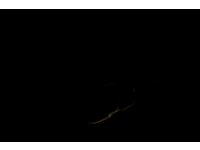 IJsblokjesvorm whisky bol