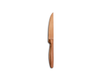BOJ Steakmes glad Satin Copper 22cm| Professioneel Steakmes Horeca Comas