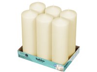Bolsius Professional Stompkaarsen 25/8 cm 122 branduren Ivoor tray 6 stuks