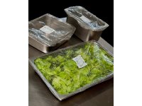 PANCOVER 1/2 GN DOOS A200