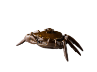 Krab met deksel bruin 30 x 22 cm