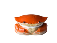 Krab met deksel rood 25 x 9 cm