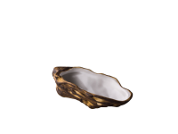 Oyster schelp wit 13,2 x 7,4 x 4 cm