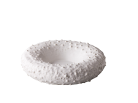 Donut kom spiked wit 21 cm